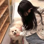 最强剑仙手游